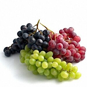 Fruttissimo – ¡Calidad & Frescura hasta tu Hogar! 🚚